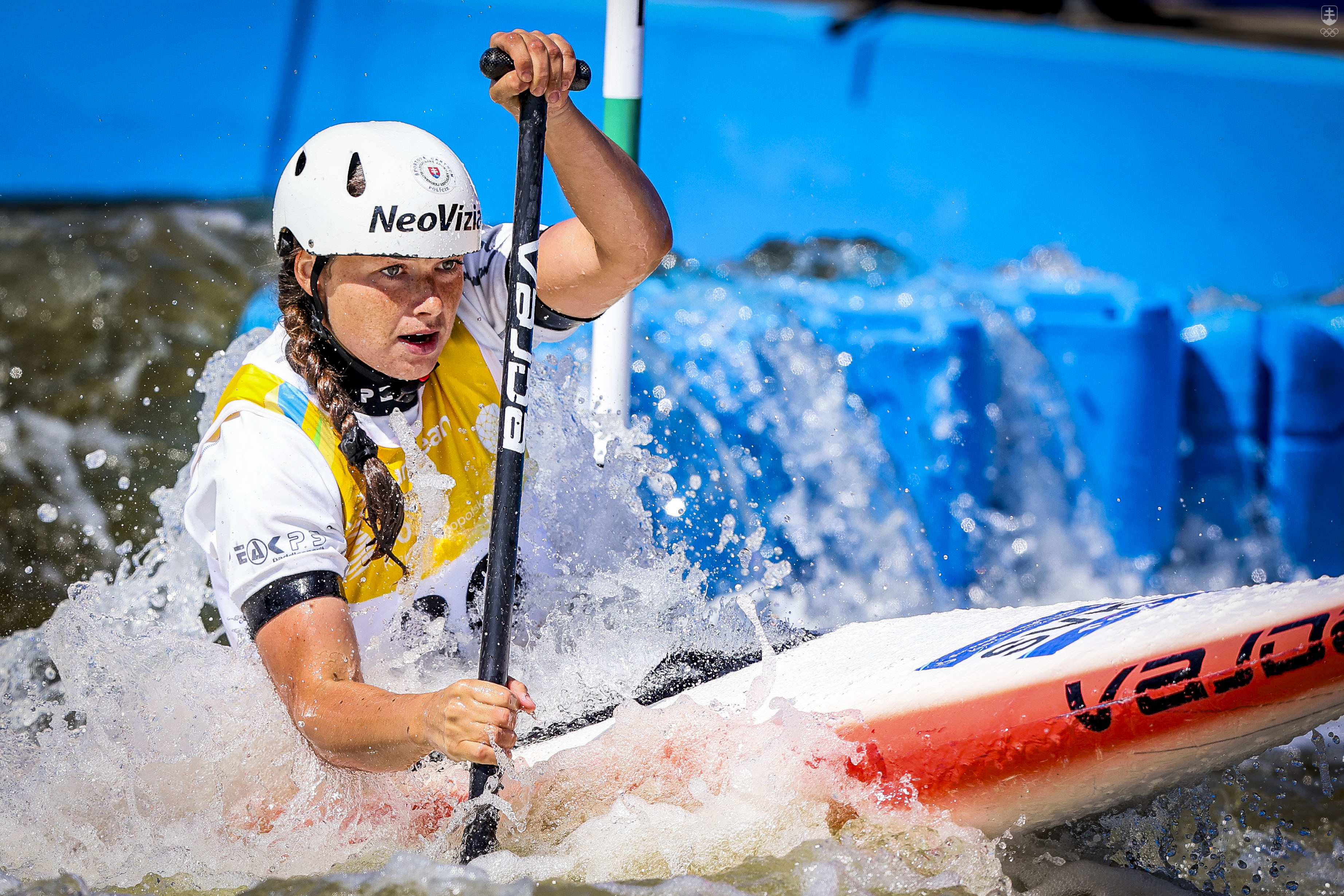 23042026194559_foto sona.jpg